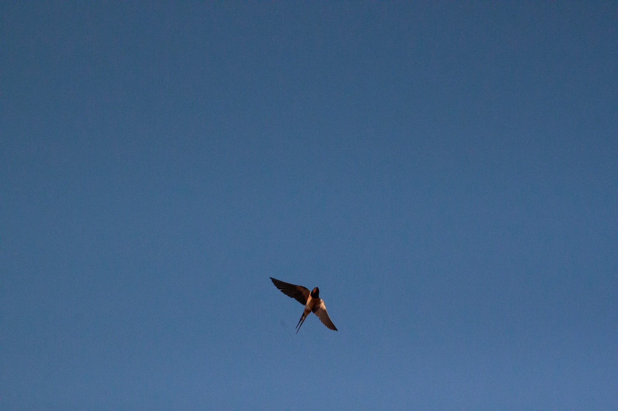 Photography by Caspar — 09
