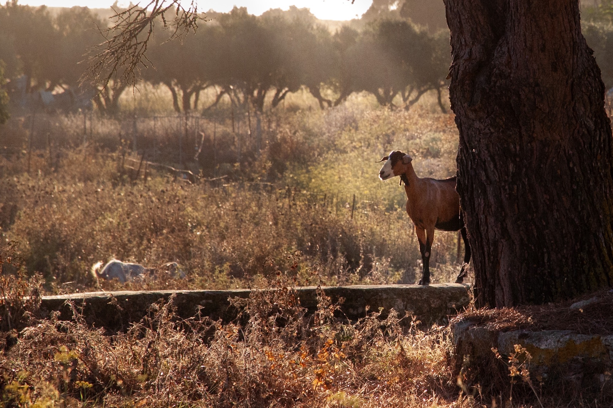 Photography by Caspar — 10