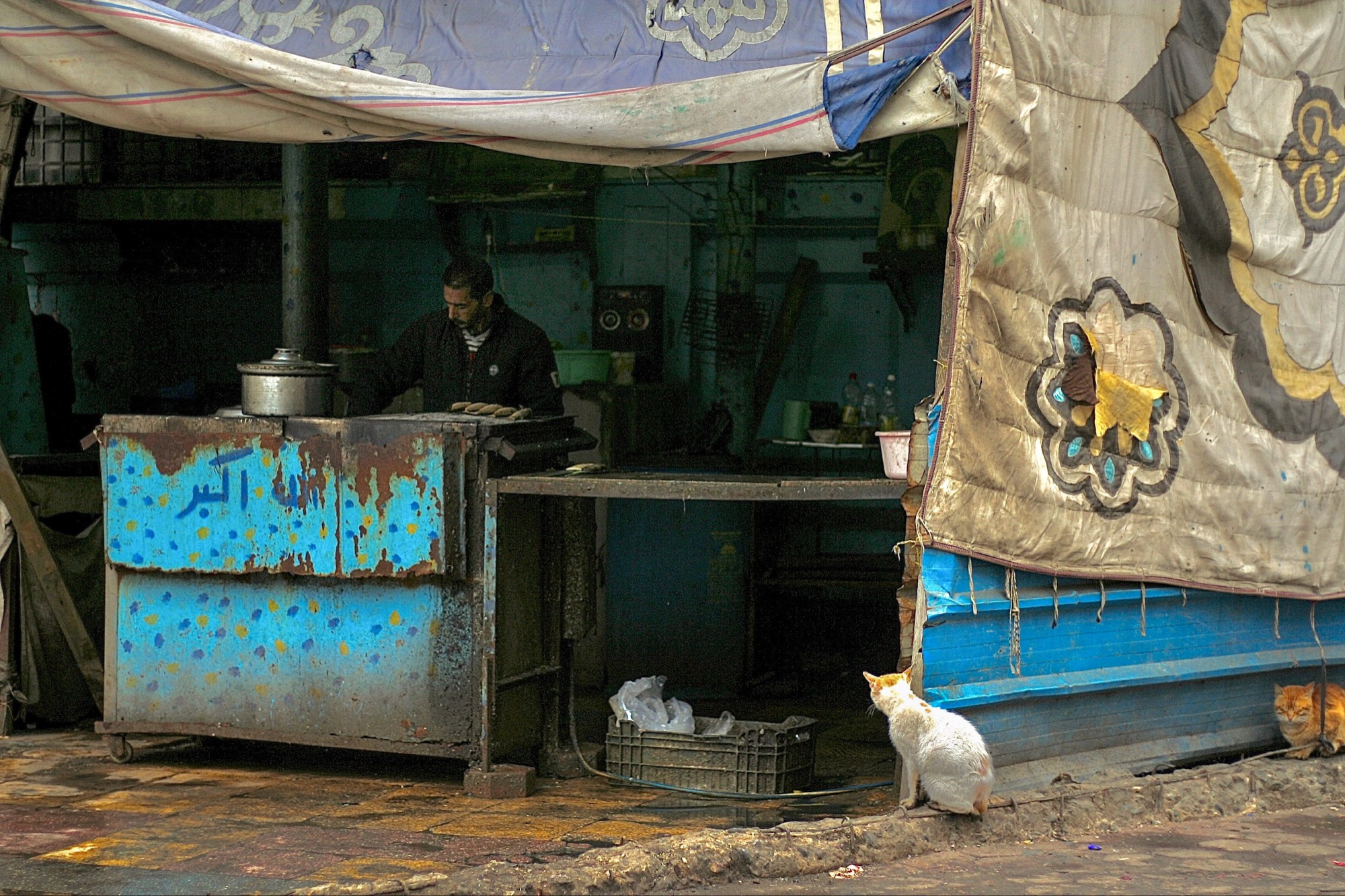 Egypt by Joseph — 10