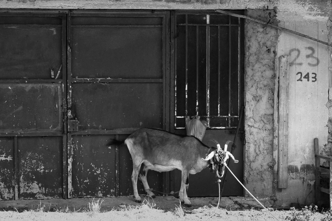 Greece by Joseph — 10