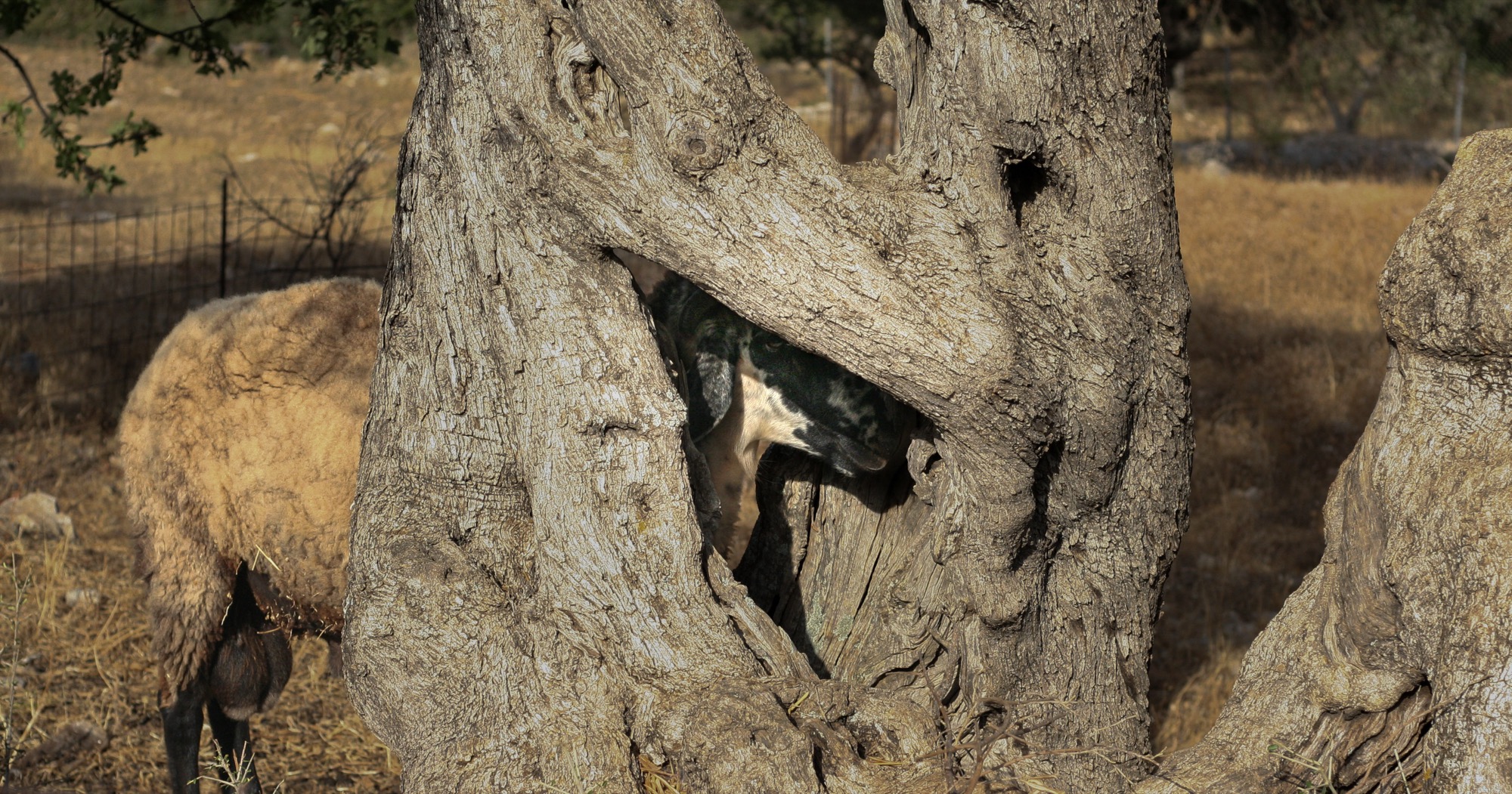 Greece by Joseph — 12