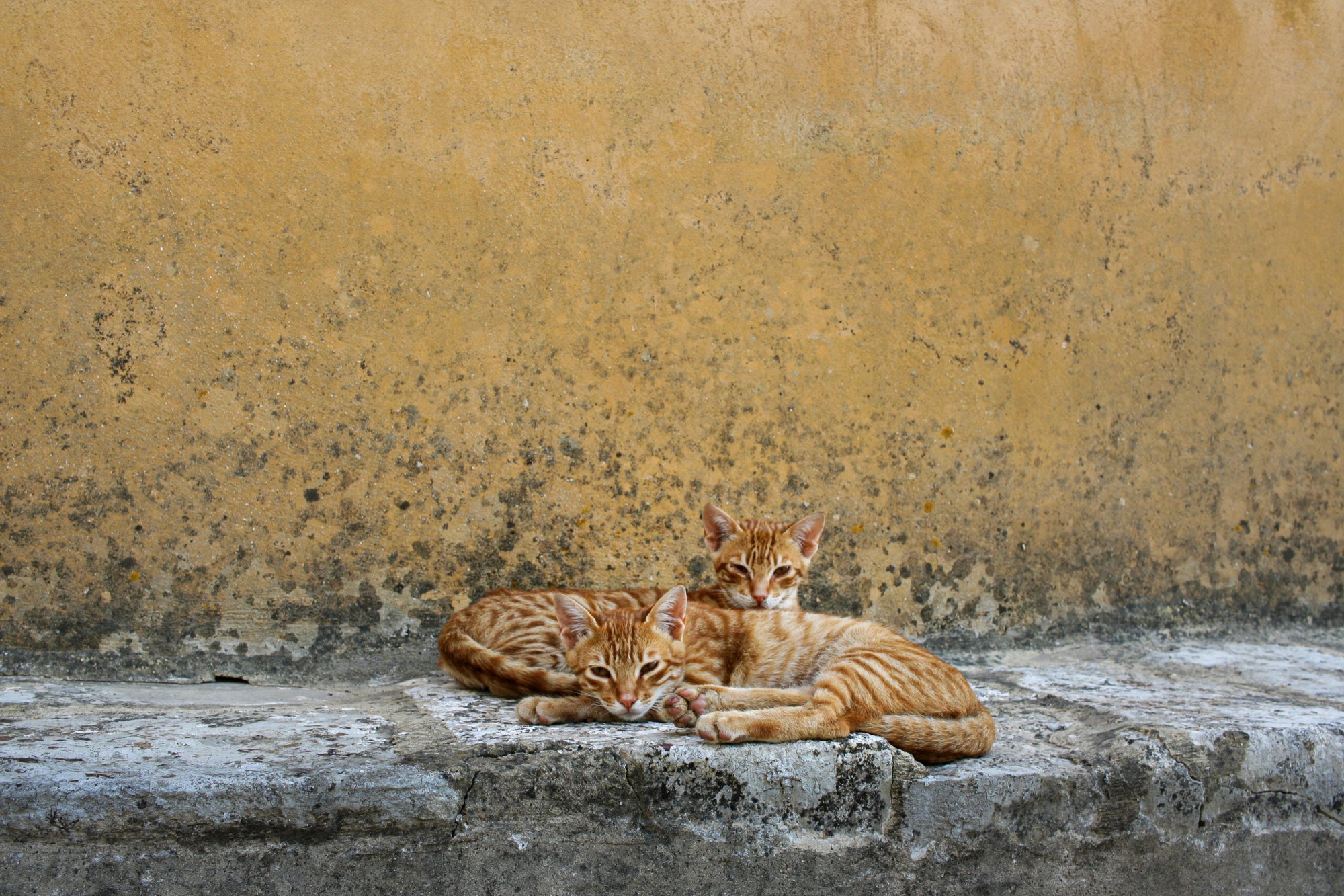 Greece by Joseph — 09
