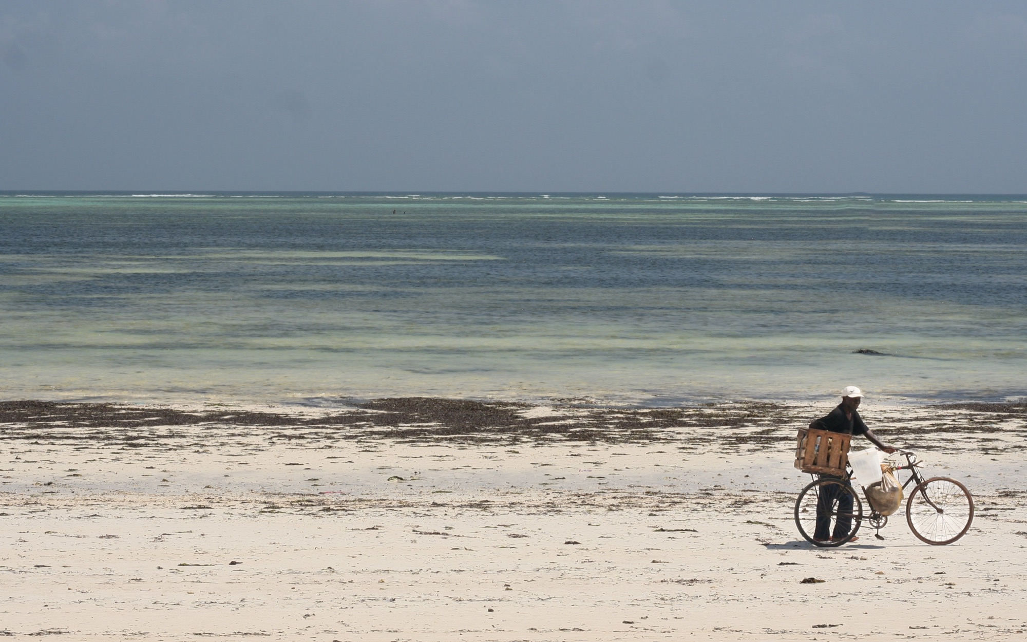 Zanzibar by Joseph — 10