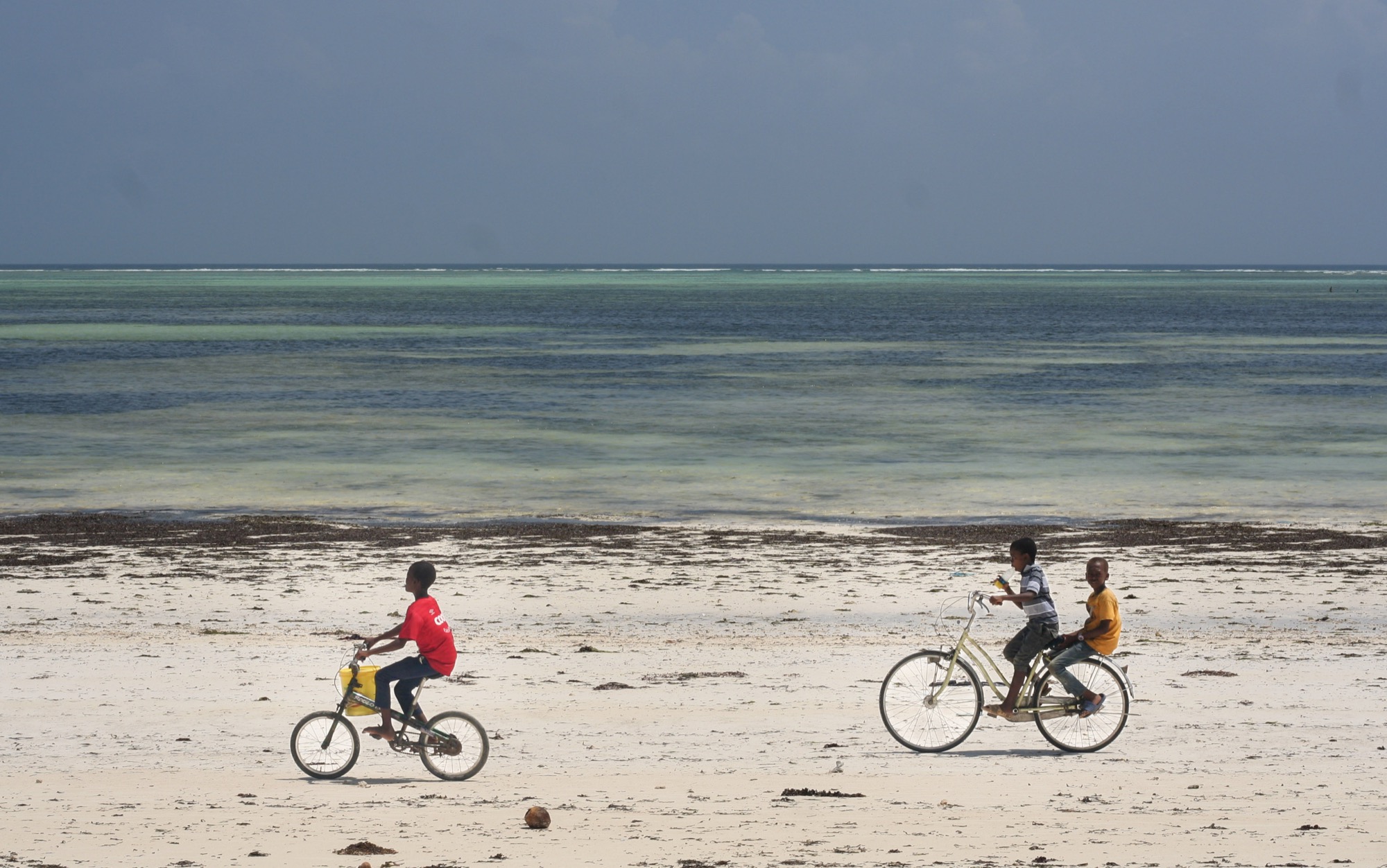 Zanzibar by Joseph — 11