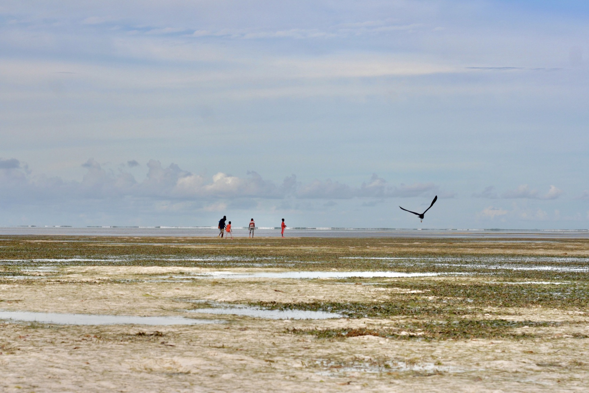 Zanzibar by Joseph — 09