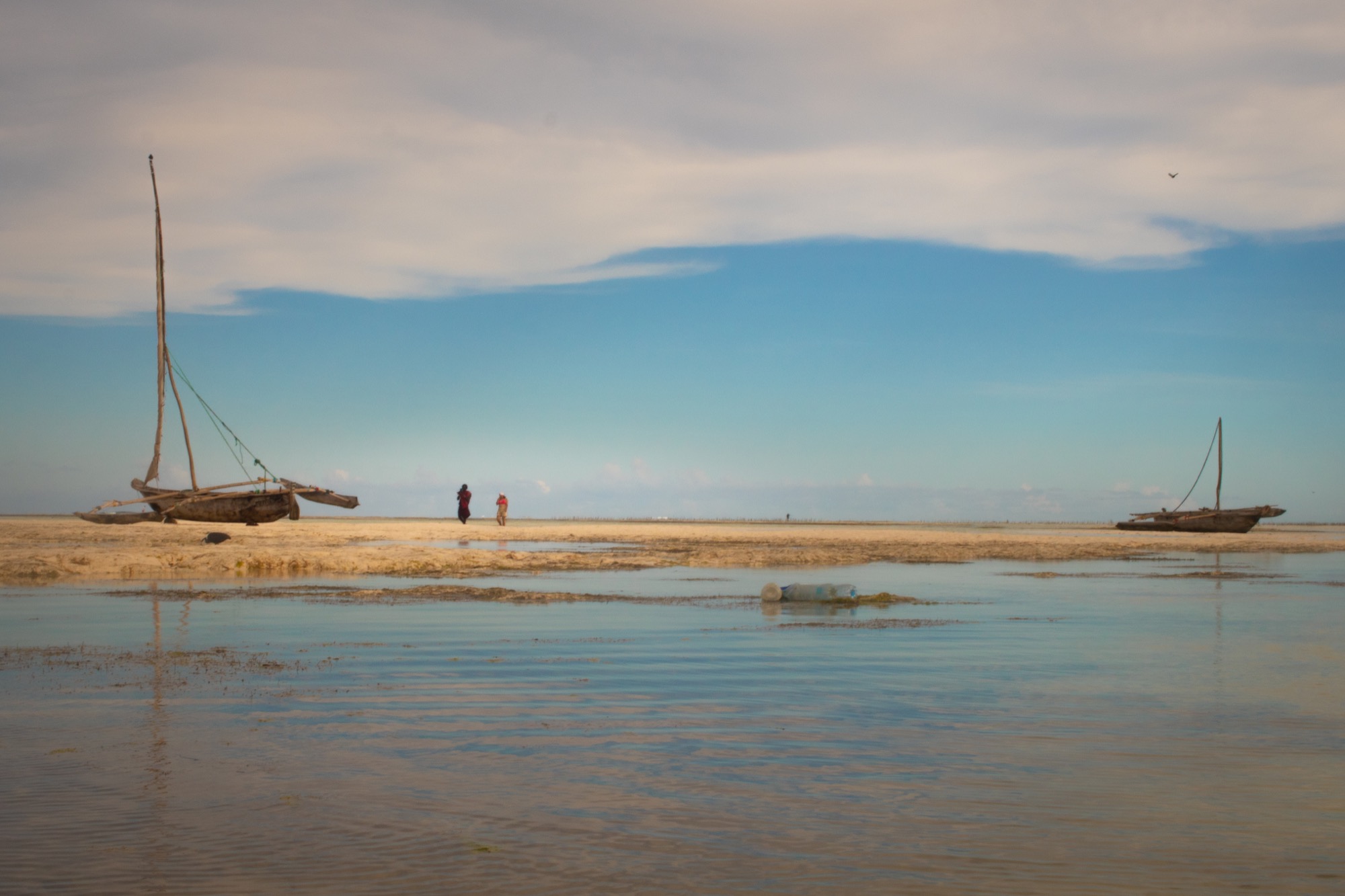 Coastal — Day by Oscar — 01