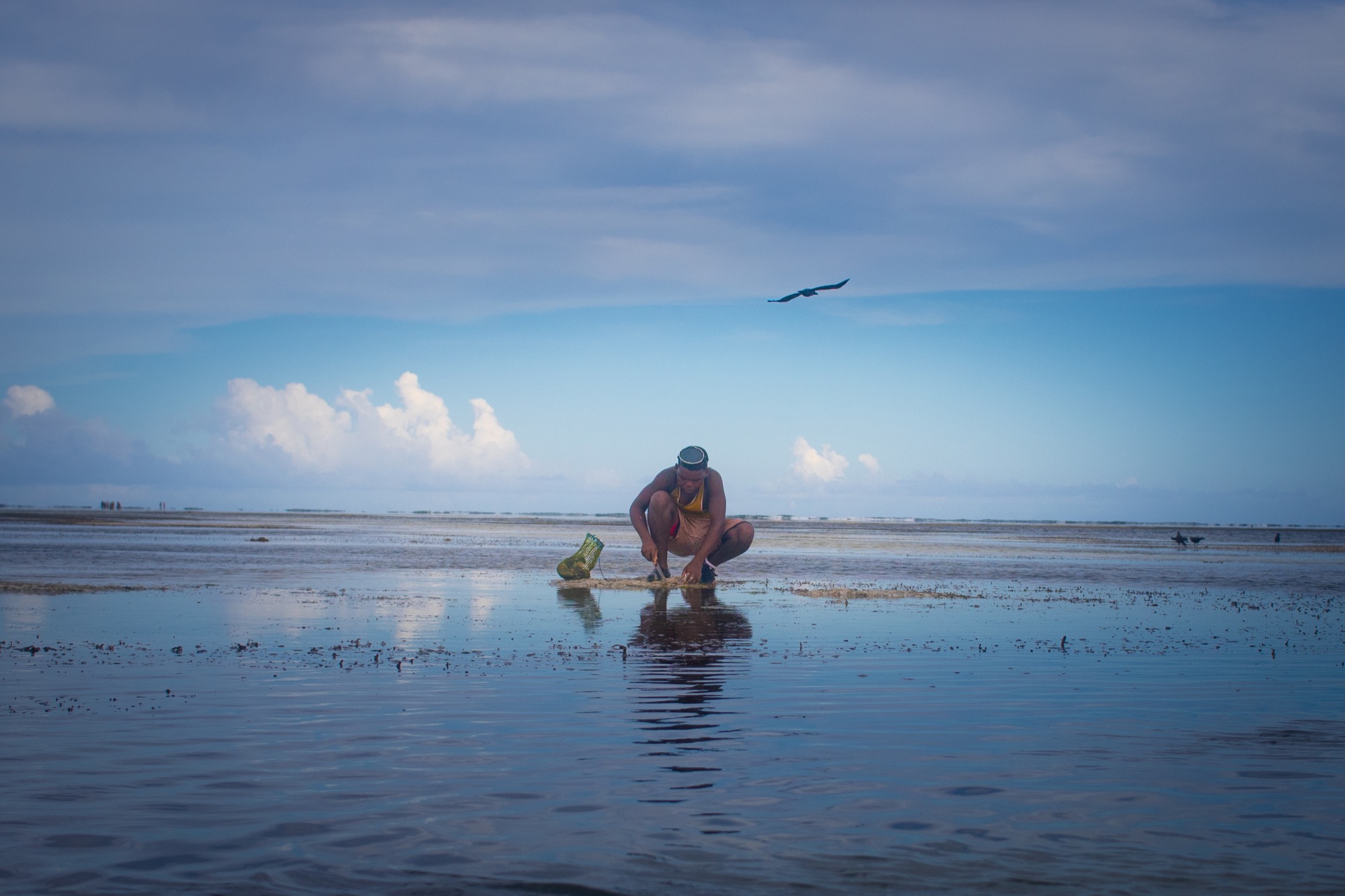 Coastal — Day by Oscar — 03